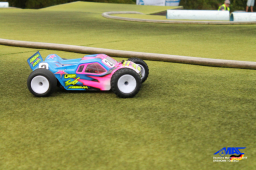 2014 ﻿﻿﻿﻿﻿DM Offroad Monster - Shortcouse